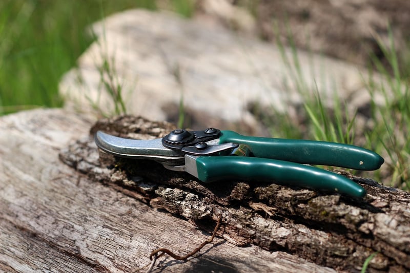 Pixie Pruning Techniques