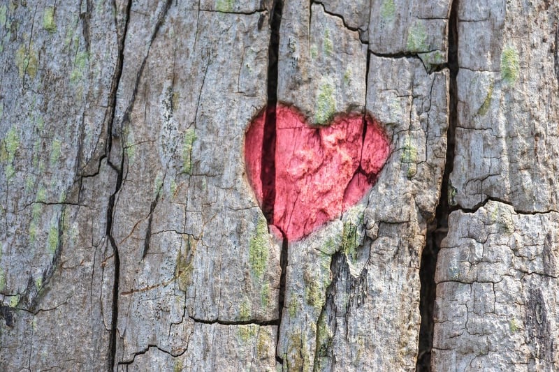 The Giving Tree